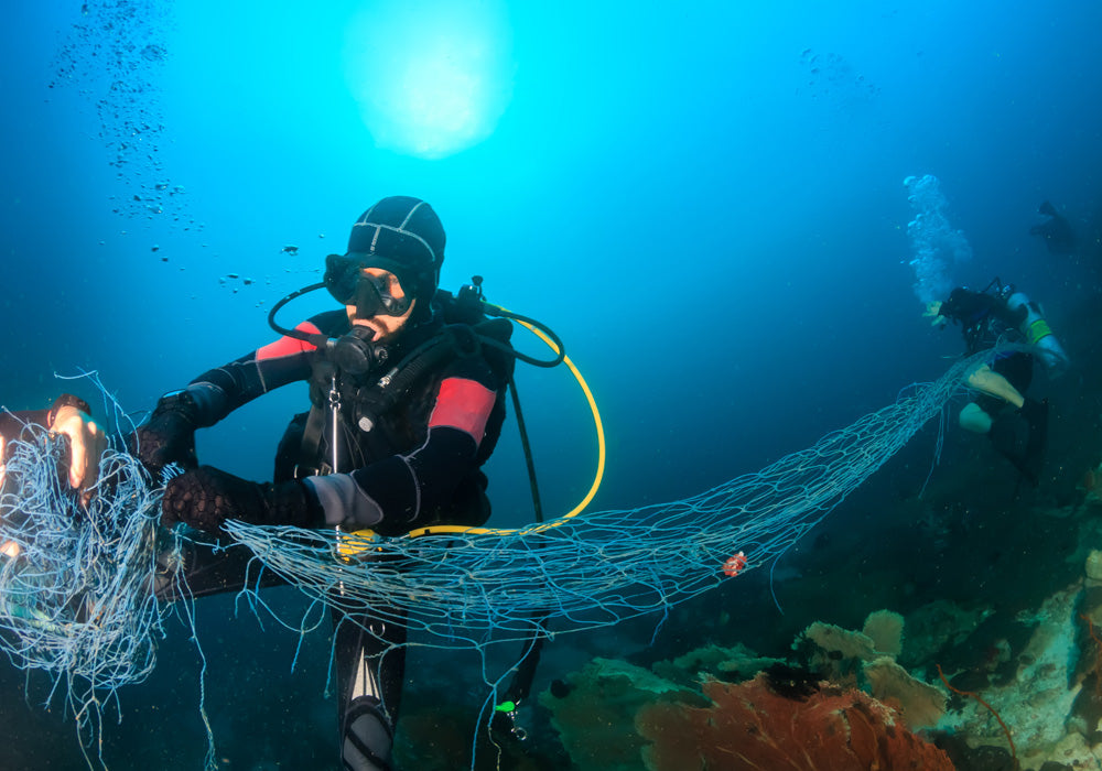 Improving the health of our oceans