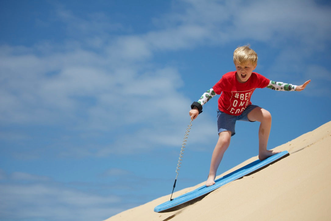 Dinosaur_sand_surfing.jpg