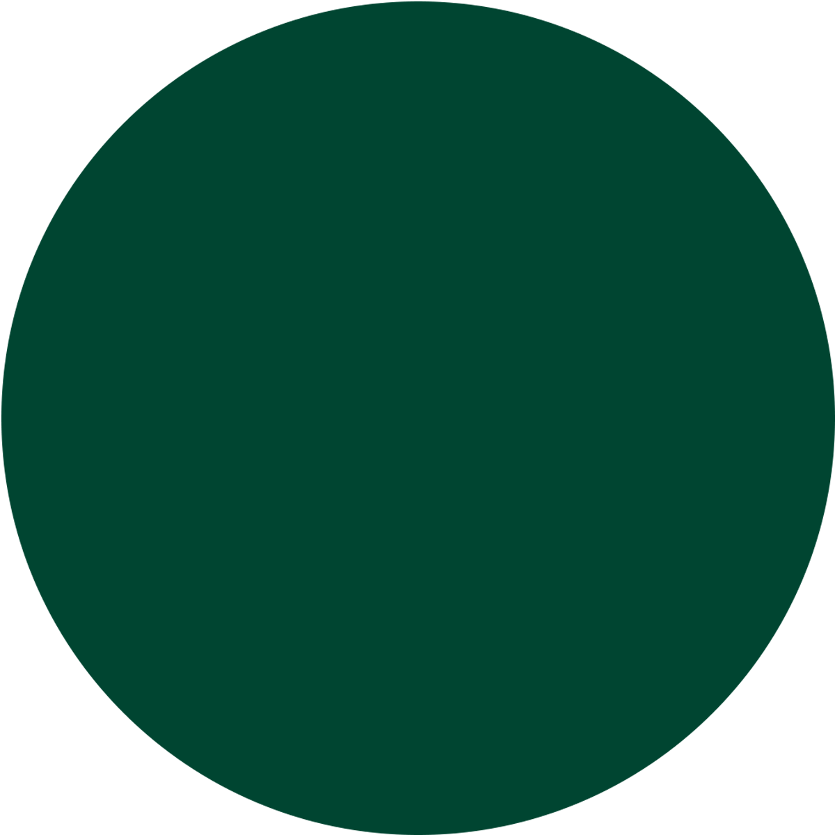 Green Arm Sleeves – Adult